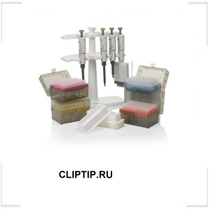 CLIPTIP.RU