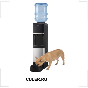 CULER.RU